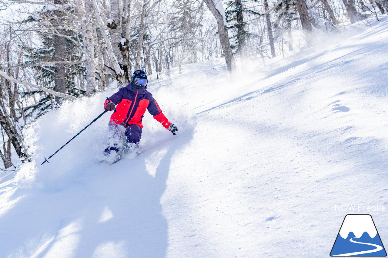 十勝サホロリゾート｜道東の粉雪はレベルが違う☆抵抗感皆無のさらさらパウダースノーへ滑り込め！(*^^*)